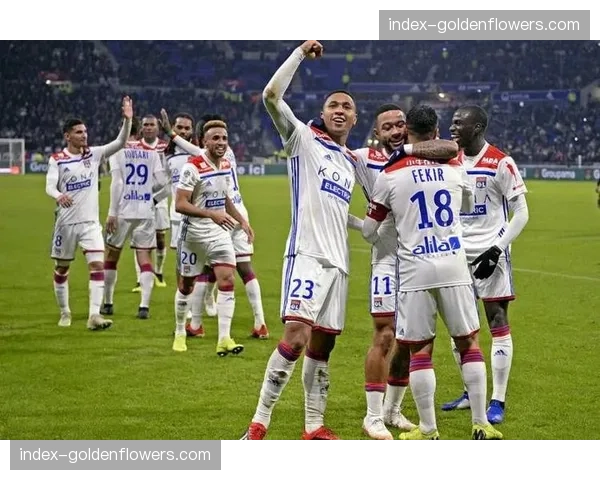 图卢兹与南特比赛前，全场为已故俱乐部传奇默哀一分钟