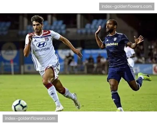 法甲商业价值提升：转播权谈判与赞助商合作新进展